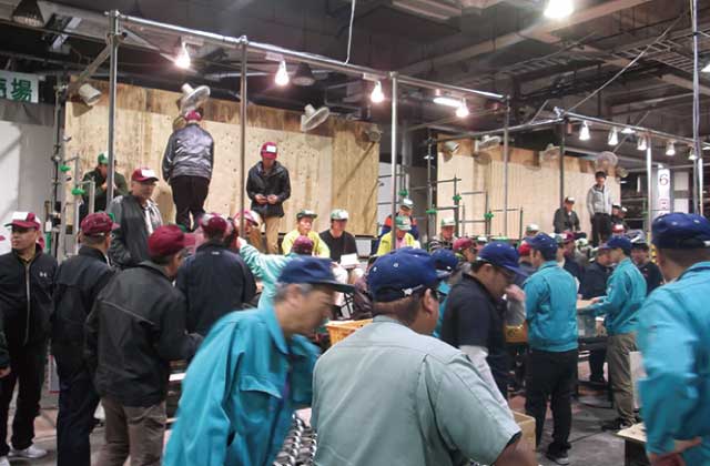 青果を比較する